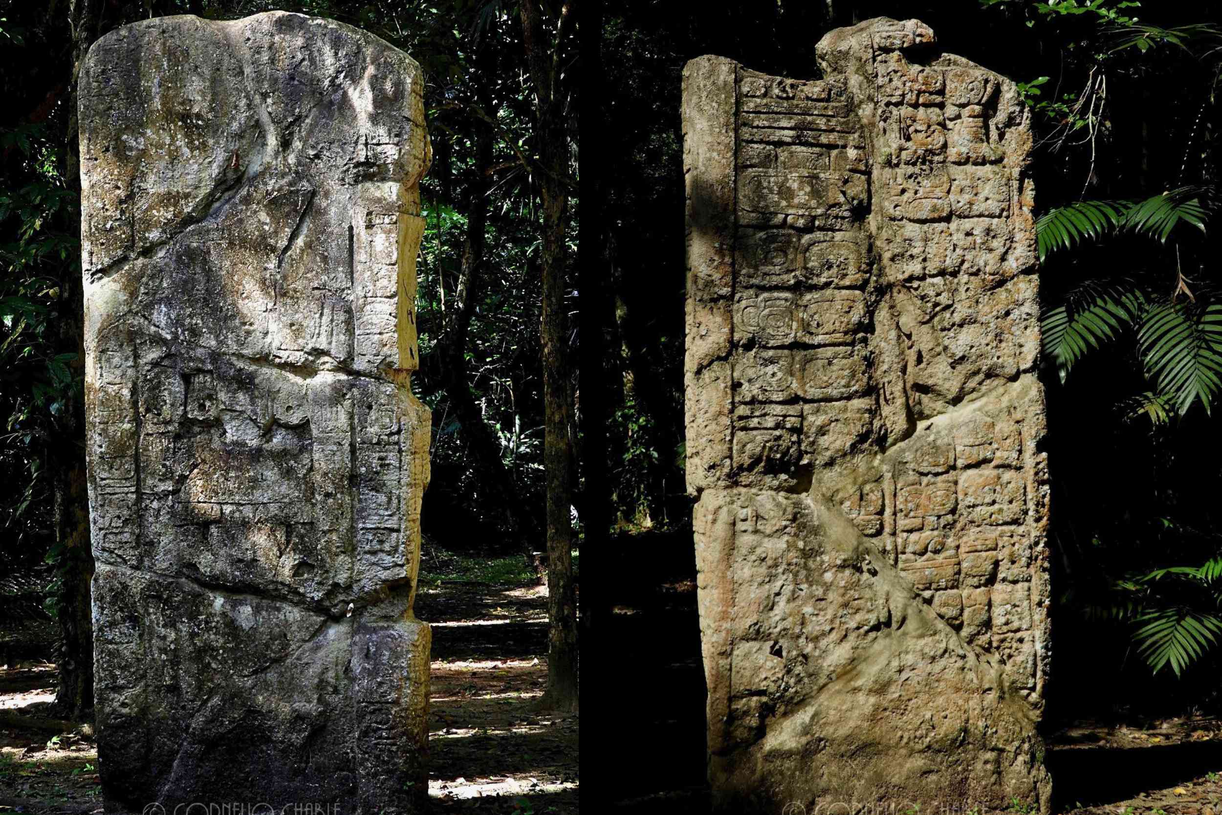 Tour Arqueológico Waká-Perú: Un Fascinante Viaje por la Historia y la Naturaleza